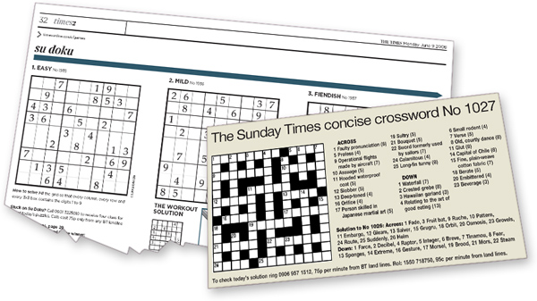 Times2 Sudoku and Sunday Times Concise Crossword